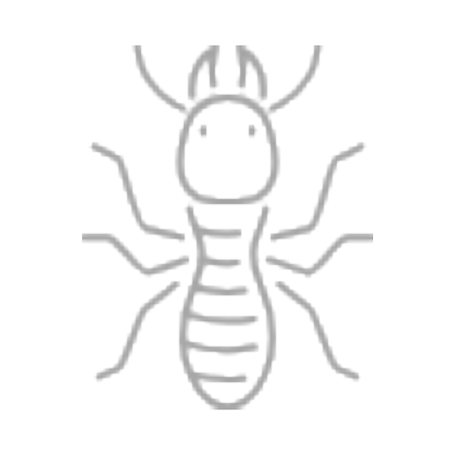 Mối